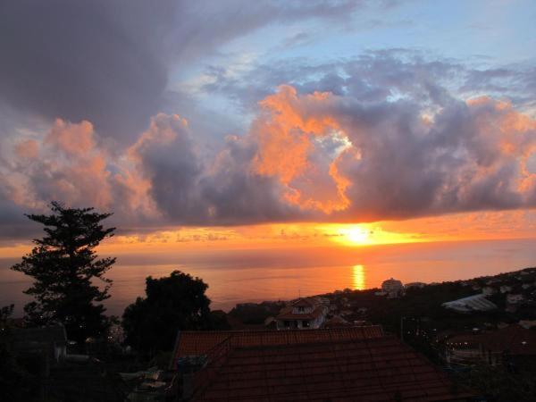 Villa Madeira House Calheta  Zimmer foto